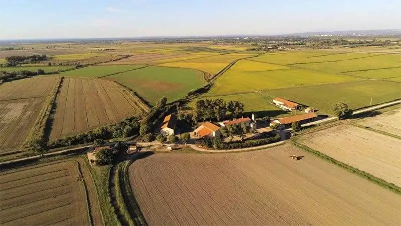Gite Camargue Domaine de remoule