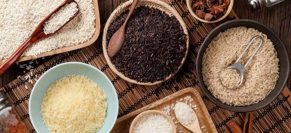 riz de camargue